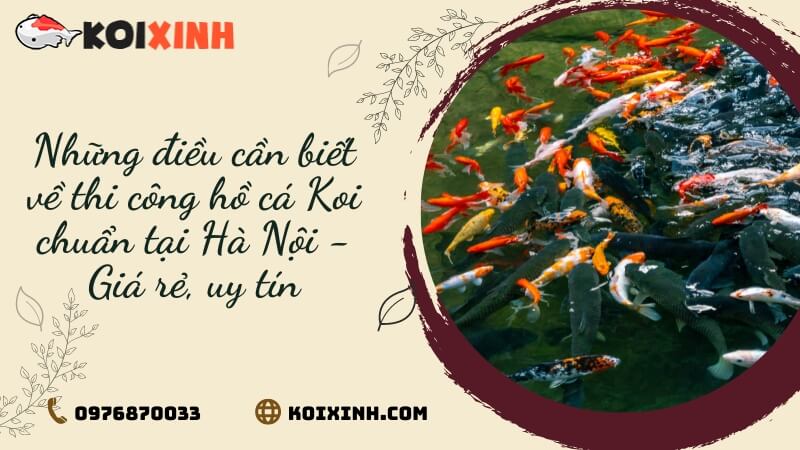 Những điều Cần Biết Về Thi Công Hồ Cá Koi Chuẩn Tại Hà Nội – Giá Rẻ, Uy Tín Những điều Cần Biết Về Thi Công Hồ Cá Koi Chuẩn Tại Hà Nội – Giá Rẻ, Uy Tín