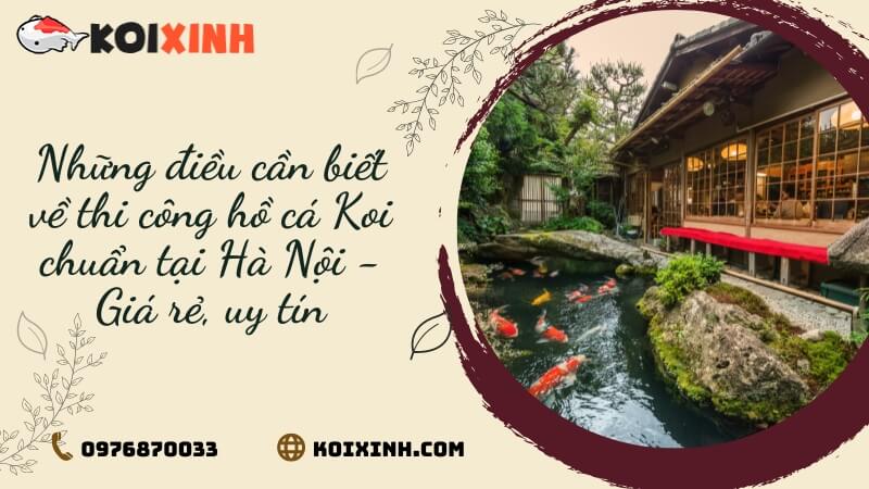 Những điều Cần Biết Về Thi Công Hồ Cá Koi Chuẩn Tại Hà Nội – Giá Rẻ, Uy Tín Những điều Cần Biết Về Thi Công Hồ Cá Koi Chuẩn Tại Hà Nội – Giá Rẻ, Uy Tín