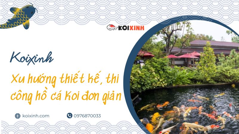 Xu Hướng Thiết Kế, Thi Công Hồ Cá Koi đơn Giản Tại Hà Nội – Giá Rẻ, Uy Tín