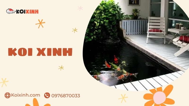 Quảng Ninh Dịch Vụ Thiết Kế, Thi Công Hồ Cá Koi Uy Tín – Giá Rẻ, Bảo Hành Dài Hạn – Gọi 0976870033