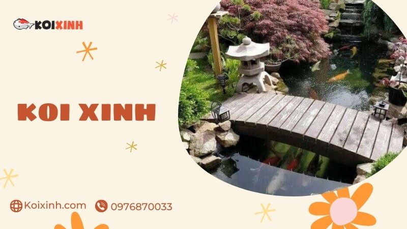 Quảng Ninh Dịch Vụ Thiết Kế, Thi Công Hồ Cá Koi Uy Tín – Giá Rẻ, Bảo Hành Dài Hạn – Gọi 0976870033