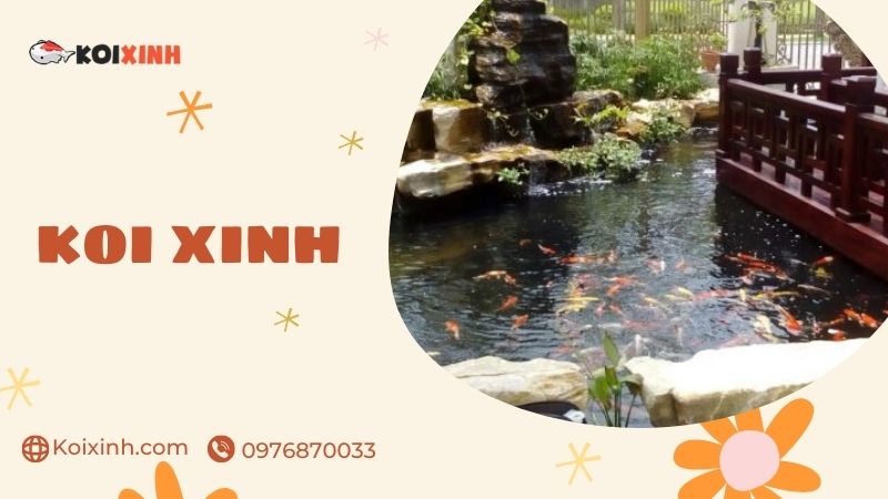 Quảng Ninh Dịch Vụ Thiết Kế, Thi Công Hồ Cá Koi Uy Tín – Giá Rẻ, Bảo Hành Dài Hạn – Gọi 0976870033