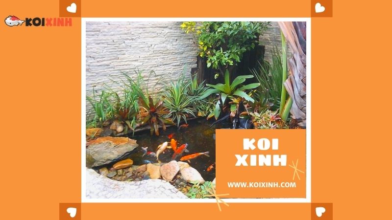 Thái Nguyên Thi Công Hồ Koi Nhật Bản Giá Rẻ, Bảo Hành Dài Hạn – Gọi 0976870033