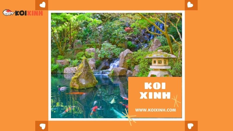 Thái Nguyên Thi Công Hồ Koi Nhật Bản Giá Rẻ, Bảo Hành Dài Hạn – Gọi 0976870033