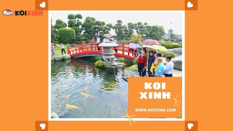 Thái Nguyên Thi Công Hồ Koi Nhật Bản Giá Rẻ, Bảo Hành Dài Hạn – Gọi 0976870033