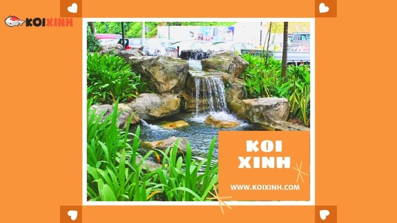 Thái Nguyên Thi Công Hồ Koi Nhật Bản Giá Rẻ, Bảo Hành Dài Hạn – Gọi 0976870033