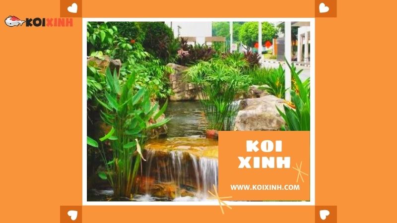 Thái Nguyên Thi Công Hồ Koi Nhật Bản Giá Rẻ, Bảo Hành Dài Hạn – Gọi 0976870033
