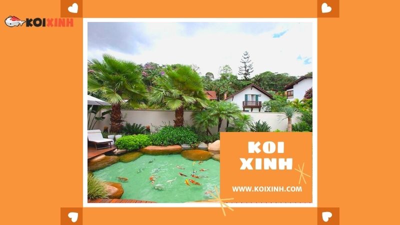 Thái Nguyên Thi Công Hồ Koi Nhật Bản Giá Rẻ, Bảo Hành Dài Hạn – Gọi 0976870033