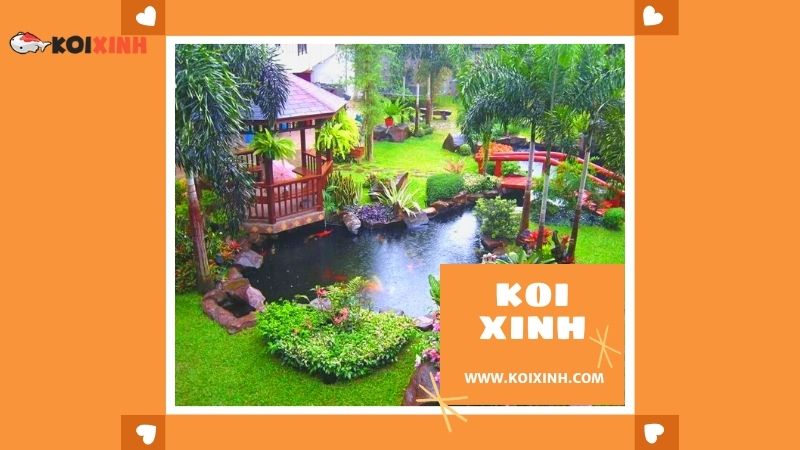 Thái Nguyên Thi Công Hồ Koi Nhật Bản Giá Rẻ, Bảo Hành Dài Hạn – Gọi 0976870033