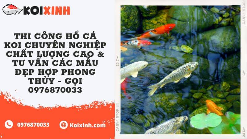 Thi Công Hồ Cá Koi Chuyên Nghiệp Chất Lượng Cao & Tư Vấn Các Mẫu Đẹp Hợp Phong Thủy – Gọi 0976870033 Thi Công Hồ Cá Koi Chuyên Nghiệp Chất Lượng Cao & Tư Vấn Các Mẫu Đẹp Hợp Phong Thủy – Gọi 0976870033