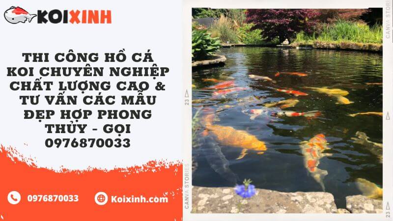 Thi Công Hồ Cá Koi Chuyên Nghiệp Chất Lượng Cao & Tư Vấn Các Mẫu Đẹp Hợp Phong Thủy – Gọi 0976870033 Thi Công Hồ Cá Koi Chuyên Nghiệp Chất Lượng Cao & Tư Vấn Các Mẫu Đẹp Hợp Phong Thủy – Gọi 0976870033