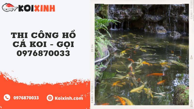 Thi Công Hồ Cá Koi – Gọi 0976870033 Thi Công Hồ Cá Koi – Gọi 0976870033
