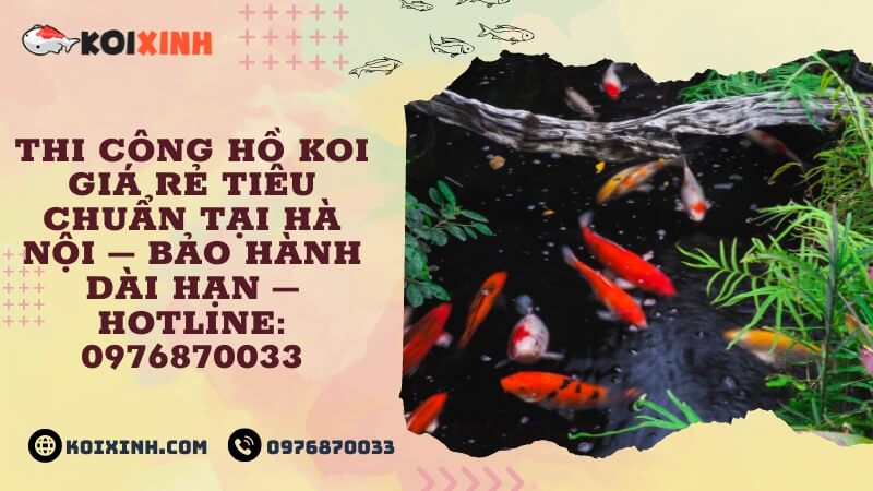 Thi Công Hồ Koi Giá Rẻ Tiêu Chuẩn Tại Hà Nội – Bảo Hành Dài Hạn – Hotline: 0976870033