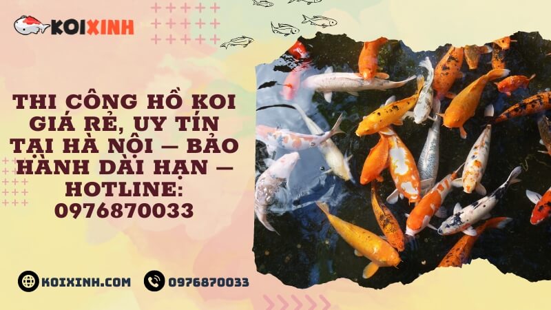 Thi Công Hồ Koi Giá Rẻ, Uy Tín Tại Hà Nội – Bảo Hành Dài Hạn – Hotline: 0976870033