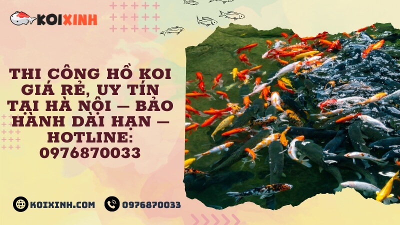 Thi Công Hồ Koi Giá Rẻ, Uy Tín Tại Hà Nội – Bảo Hành Dài Hạn – Hotline: 0976870033