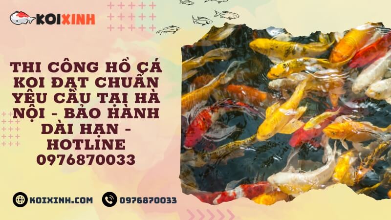 Thi Công Hồ Cá Koi đạt Chuẩn Yêu Cầu Tại Hà Nội – Bảo Hành Dài Hạn – Hotline 0976870033 Thi Công Hồ Cá Koi đạt Chuẩn Yêu Cầu Tại Hà Nội – Bảo Hành Dài Hạn – Hotline 0976870033
