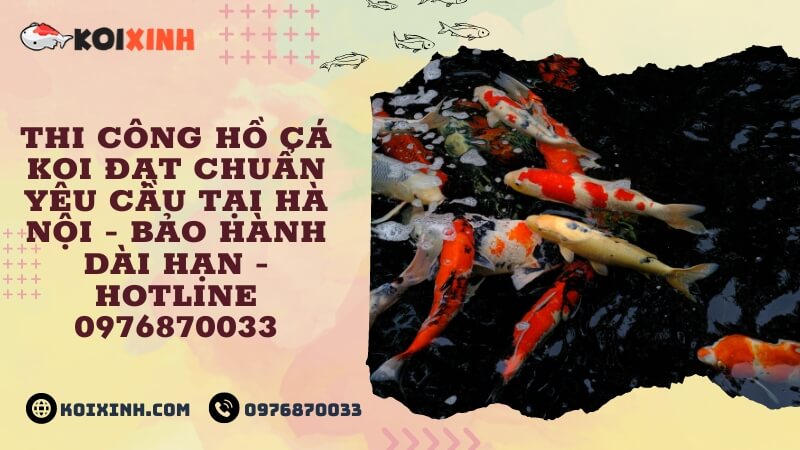 Thi Công Hồ Cá Koi đạt Chuẩn Yêu Cầu Tại Hà Nội – Bảo Hành Dài Hạn – Hotline 0976870033 Thi Công Hồ Cá Koi đạt Chuẩn Yêu Cầu Tại Hà Nội – Bảo Hành Dài Hạn – Hotline 0976870033
