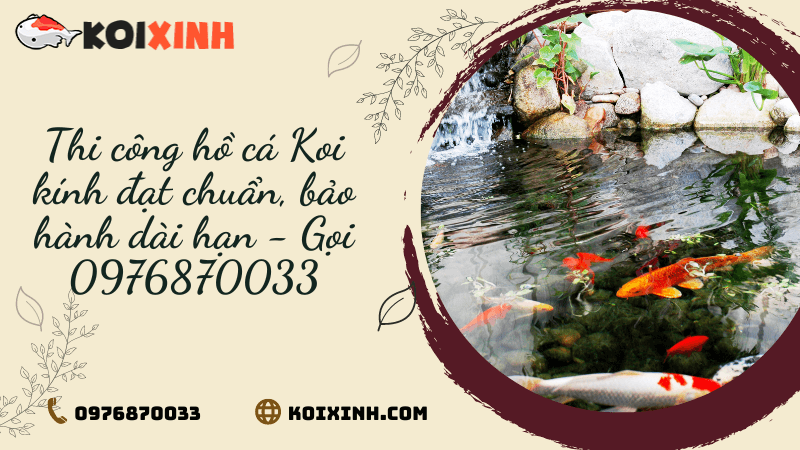 Thi Công Hồ Cá Koi Kính đạt Chuẩn, Bảo Hành Dài Hạn – Gọi 0976870033 Thi Công Hồ Cá Koi Kính đạt Chuẩn, Bảo Hành Dài Hạn – Gọi 0976870033