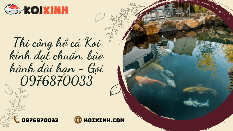 Thi Công Hồ Cá Koi Kính đạt Chuẩn, Bảo Hành Dài Hạn – Gọi 0976870033 Thi Công Hồ Cá Koi Kính đạt Chuẩn, Bảo Hành Dài Hạn – Gọi 0976870033