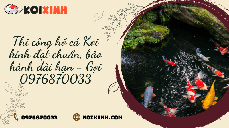 Thi Công Hồ Cá Koi Kính đạt Chuẩn, Bảo Hành Dài Hạn – Gọi 0976870033 Thi Công Hồ Cá Koi Kính đạt Chuẩn, Bảo Hành Dài Hạn – Gọi 0976870033