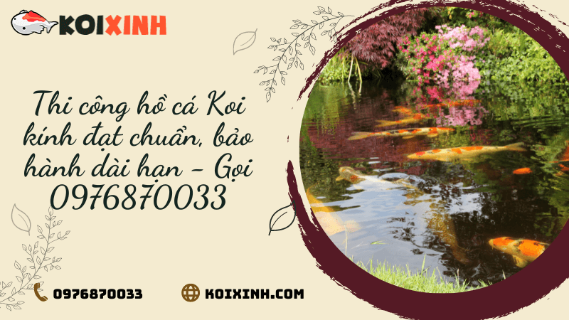 Thi Công Hồ Cá Koi Kính đạt Chuẩn, Bảo Hành Dài Hạn – Gọi 0976870033 Thi Công Hồ Cá Koi Kính đạt Chuẩn, Bảo Hành Dài Hạn – Gọi 0976870033