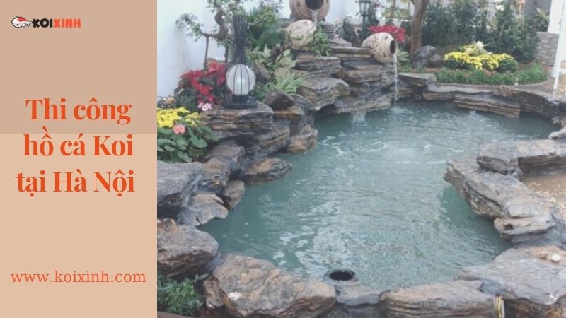 Thiết Kế Hồ Cá Koi Sân Vườn đẹp Tại Hà Nội – Uy Tín, Bảo Hành Lâu Dài