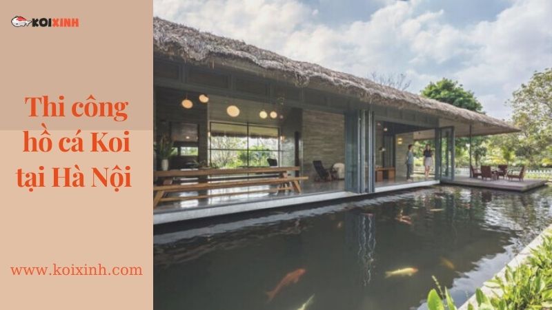 Thiết Kế Hồ Cá Koi Sân Vườn đẹp Tại Hà Nội – Uy Tín, Bảo Hành Lâu Dài