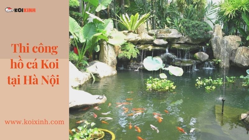 Thiết Kế Hồ Cá Koi Sân Vườn đẹp Tại Hà Nội – Uy Tín, Bảo Hành Lâu Dài