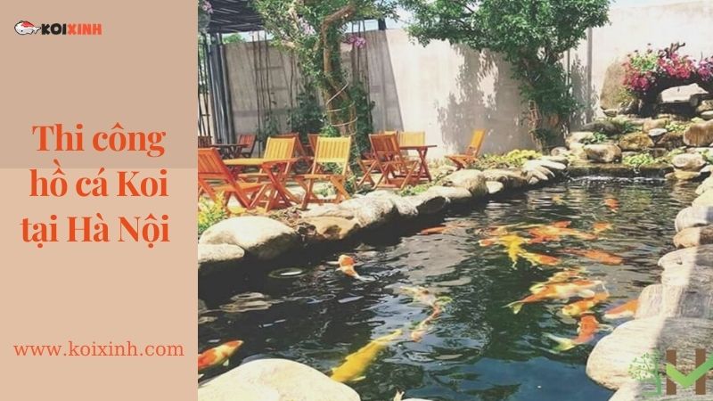 Thiết Kế Hồ Cá Koi Sân Vườn đẹp Tại Hà Nội – Uy Tín, Bảo Hành Lâu Dài