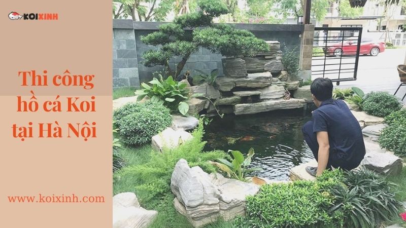 Thiết Kế Hồ Cá Koi Sân Vườn đẹp Tại Hà Nội – Uy Tín, Bảo Hành Lâu Dài