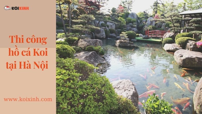 Thiết Kế Hồ Cá Koi Sân Vườn đẹp Tại Hà Nội – Uy Tín, Bảo Hành Lâu Dài