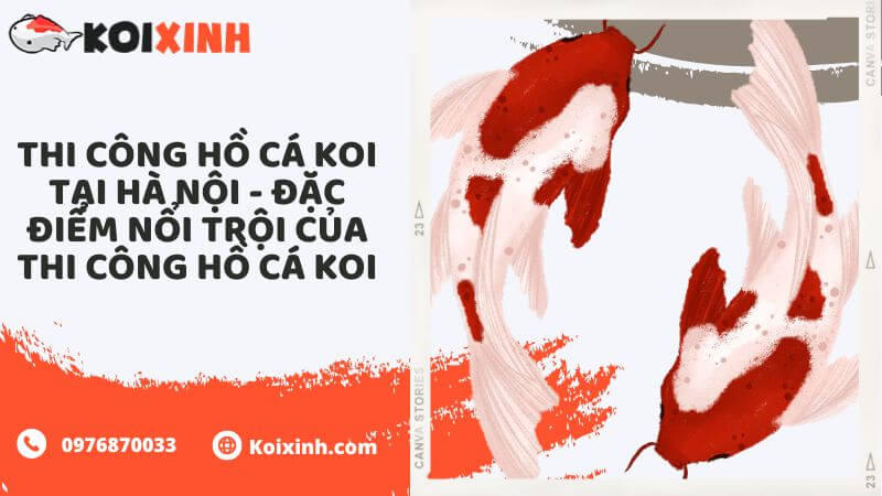 Thi Công Hồ Cá Koi Tại Hà Nội – Đặc điểm Nổi Trội Của Thi Công Hồ Cá Koi Thi Công Hồ Cá Koi Tại Hà Nội – Đặc điểm Nổi Trội Của Thi Công Hồ Cá Koi