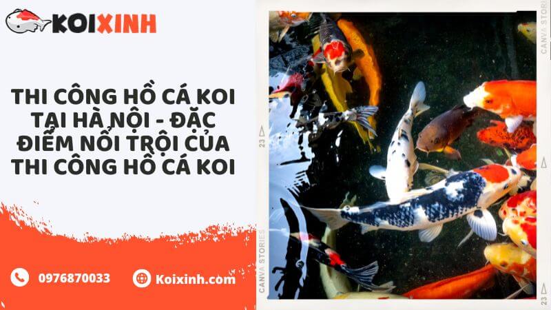 Thi Công Hồ Cá Koi Tại Hà Nội – Đặc điểm Nổi Trội Của Thi Công Hồ Cá Koi Thi Công Hồ Cá Koi Tại Hà Nội – Đặc điểm Nổi Trội Của Thi Công Hồ Cá Koi