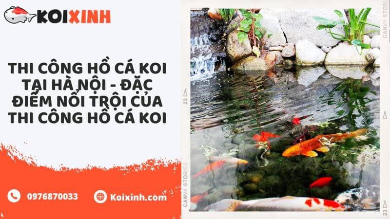 Thi Công Hồ Cá Koi Tại Hà Nội – Đặc điểm Nổi Trội Của Thi Công Hồ Cá Koi Thi Công Hồ Cá Koi Tại Hà Nội – Đặc điểm Nổi Trội Của Thi Công Hồ Cá Koi