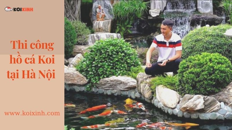 Thiết Kế Hồ Cá Koi Sân Vườn đẹp Tại Hà Nội – Uy Tín, Bảo Hành Lâu Dài