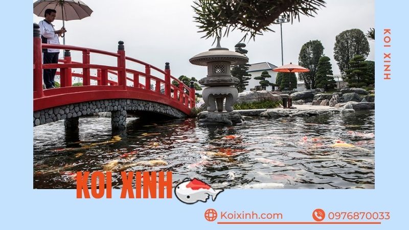 Thi Công Hồ Cá Koi Tại Sơn La Giá Rẻ, Uy Tín – Bảo Hành Dài Hạn – Hotline: 0976870033  Thi Công Hồ Cá Koi Tại Sơn La Giá Rẻ, Uy Tín – Bảo Hành Dài Hạn – Hotline: 0976870033