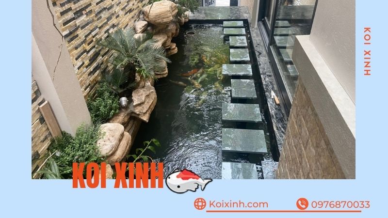 Thi Công Hồ Cá Koi Tại Sơn La Giá Rẻ, Uy Tín – Bảo Hành Dài Hạn – Hotline: 0976870033  Thi Công Hồ Cá Koi Tại Sơn La Giá Rẻ, Uy Tín – Bảo Hành Dài Hạn – Hotline: 0976870033