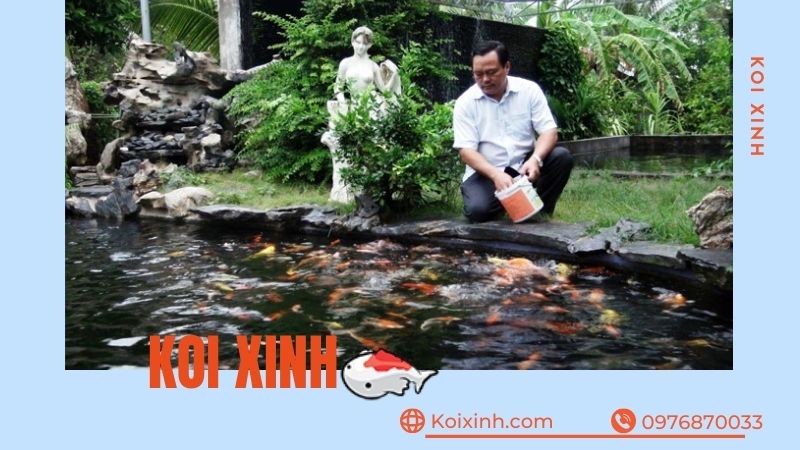 Thi Công Hồ Cá Koi Tại Sơn La Giá Rẻ, Uy Tín – Bảo Hành Dài Hạn – Hotline: 0976870033  Thi Công Hồ Cá Koi Tại Sơn La Giá Rẻ, Uy Tín – Bảo Hành Dài Hạn – Hotline: 0976870033