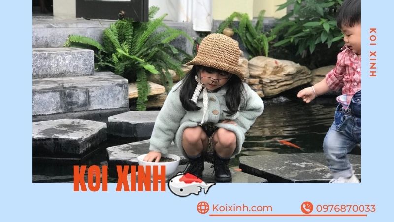 Thi Công Hồ Cá Koi Tại Sơn La Giá Rẻ, Uy Tín – Bảo Hành Dài Hạn – Hotline: 0976870033  Thi Công Hồ Cá Koi Tại Sơn La Giá Rẻ, Uy Tín – Bảo Hành Dài Hạn – Hotline: 0976870033