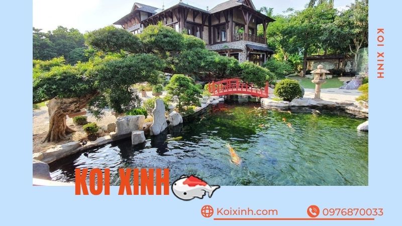 Thi Công Hồ Cá Koi Tại Sơn La Giá Rẻ, Uy Tín – Bảo Hành Dài Hạn – Hotline: 0976870033  Thi Công Hồ Cá Koi Tại Sơn La Giá Rẻ, Uy Tín – Bảo Hành Dài Hạn – Hotline: 0976870033