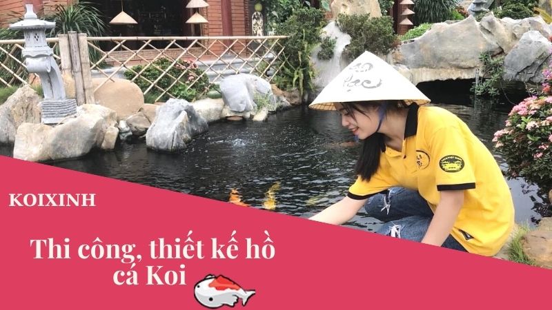 Thi Công, Thiết Kế Hồ Cá Koi – Cách Chăm Sóc Hồ Cá Koi Trở Nên Siêu đẹp