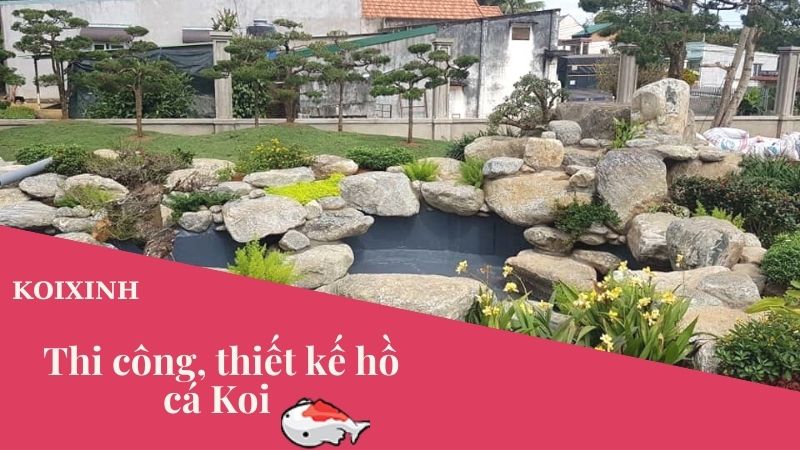 Thi Công, Thiết Kế Hồ Cá Koi – Cách Chăm Sóc Hồ Cá Koi Trở Nên Siêu đẹp