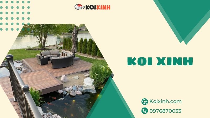 Thi Công Thiết Kế Hồ Cá Koi Hà Nội Uy Tín, Bảo Hành – Gọi 0976870033