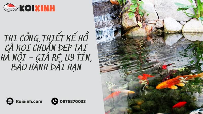 Thi Công, Thiết Kế Hồ Cá Koi Chuẩn đẹp Tại Hà Nội – Giá Rẻ, Uy Tín, Bảo Hành Dài Hạn Thi Công, Thiết Kế Hồ Cá Koi Chuẩn đẹp Tại Hà Nội – Giá Rẻ, Uy Tín, Bảo Hành Dài Hạn