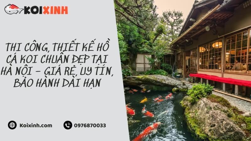 Thi Công, Thiết Kế Hồ Cá Koi Chuẩn đẹp Tại Hà Nội – Giá Rẻ, Uy Tín, Bảo Hành Dài Hạn Thi Công, Thiết Kế Hồ Cá Koi Chuẩn đẹp Tại Hà Nội – Giá Rẻ, Uy Tín, Bảo Hành Dài Hạn