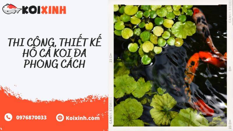 Thi Công, Thiết Kế Hồ Cá Koi đa Phong Cách Thi Công, Thiết Kế Hồ Cá Koi đa Phong Cách