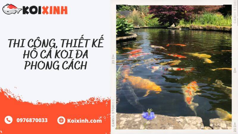 Thi Công, Thiết Kế Hồ Cá Koi đa Phong Cách Thi Công, Thiết Kế Hồ Cá Koi đa Phong Cách