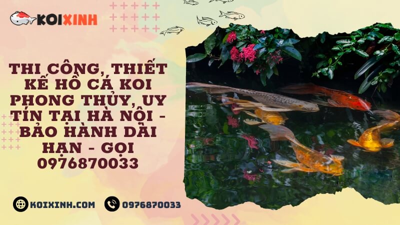 Thi Công, Thiết Kế Hồ Cá Koi Phong Thủy, Uy Tín Tại Hà Nội – Bảo Hành Dài Hạn – Gọi 0976870033