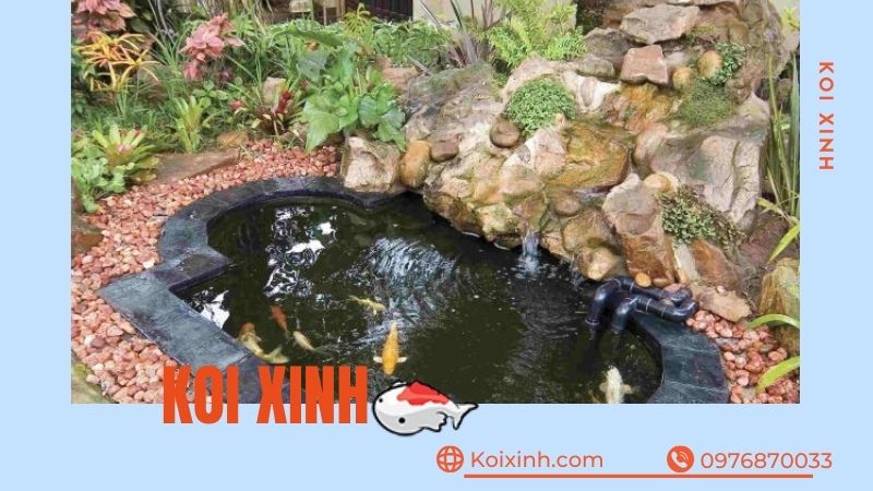 Thi Công, Thiết Kế Hồ Cá Koi Tại Phú Thọ – Bảo Hành Dài Hạn – Hotline: 0976870033 