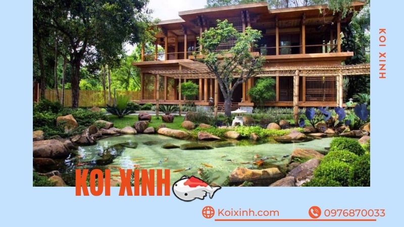 Thi Công, Thiết Kế Hồ Cá Koi Tại Phú Thọ – Bảo Hành Dài Hạn – Hotline: 0976870033 